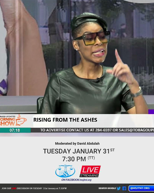 DISCUSSION on Constitutional Reform